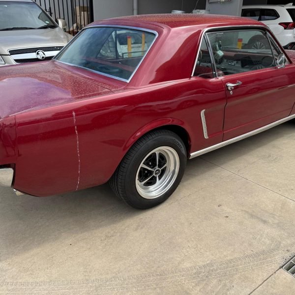 WhatsApp Image 2026-03-17 at 13.18.12 (5)