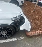 WhatsApp Image 2026-03-17 at 13.18.16 (3)